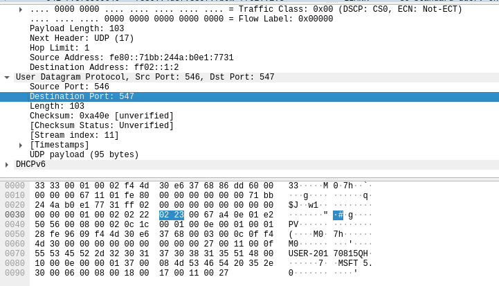 IPV6 UDP DPORT